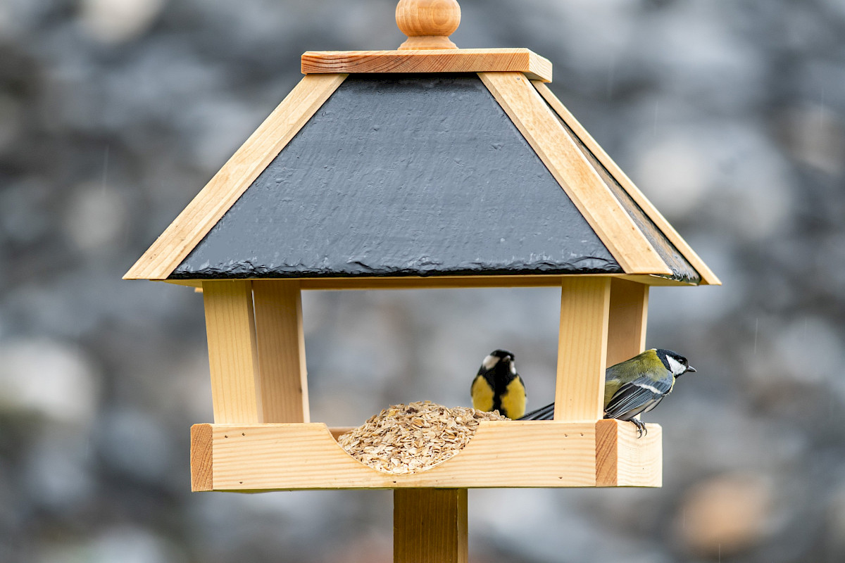 Bird feeders